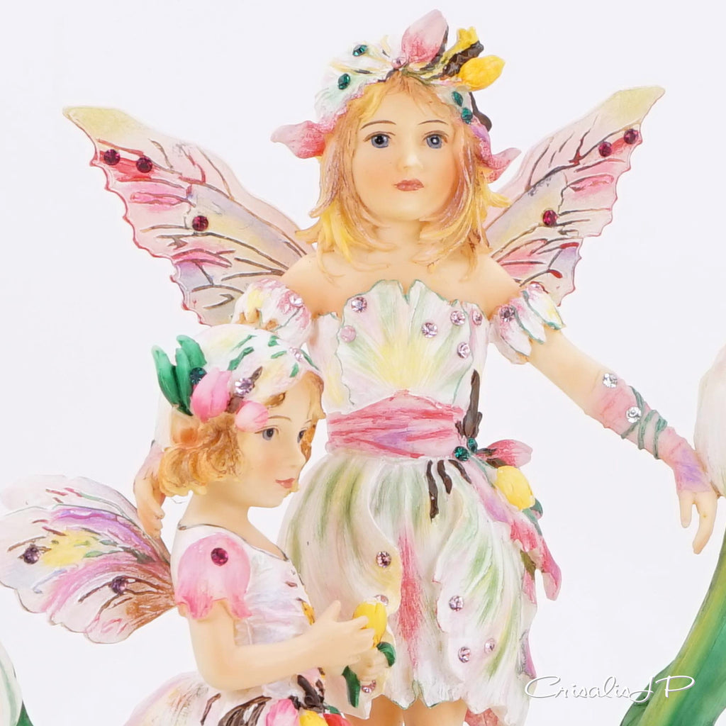 Crisalis Collection ★ Tulip Time Faeries (1-150) Standard