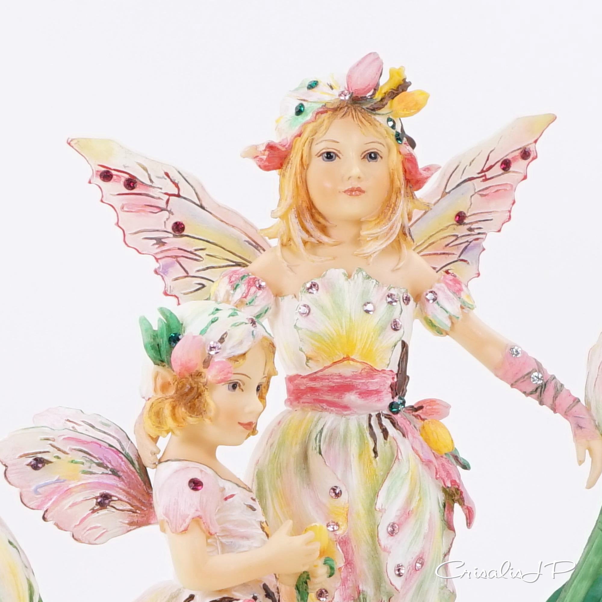 Crisalis Collection ★ Tulip Time Faeries (1-282) Premium