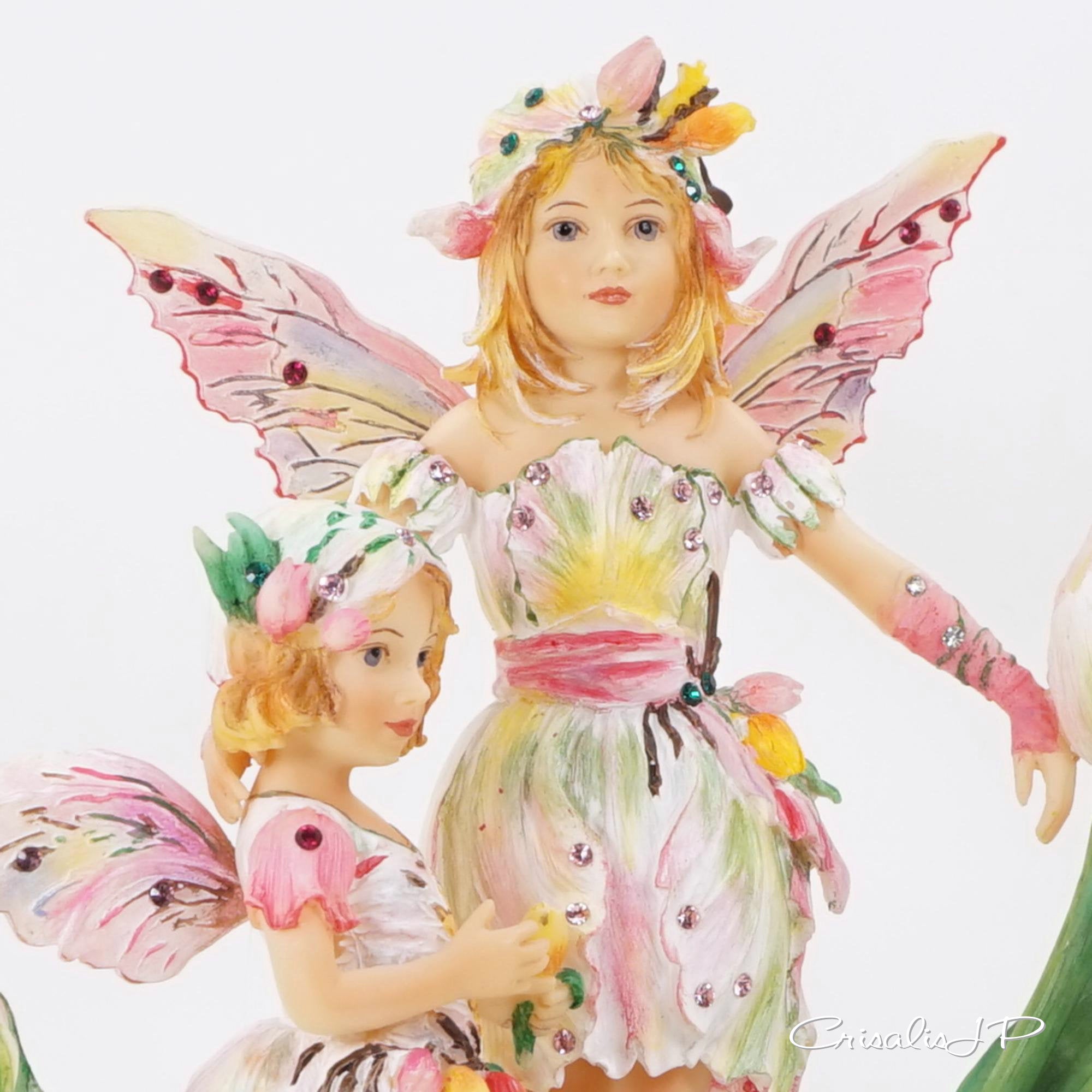 Crisalis Collection ★ Tulip Time Faeries (1-320) Premium