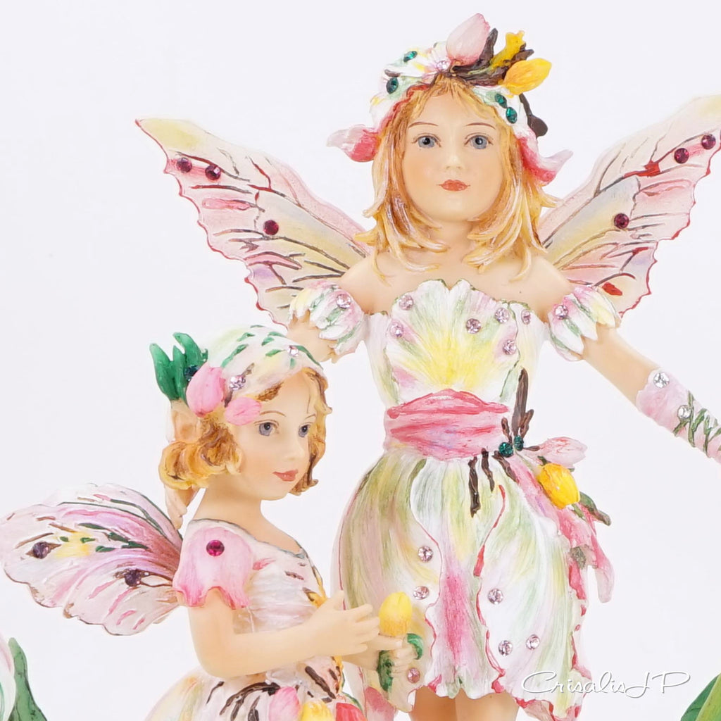Crisalis Collection ★ Tulip Time Faeries (1-346) Premium