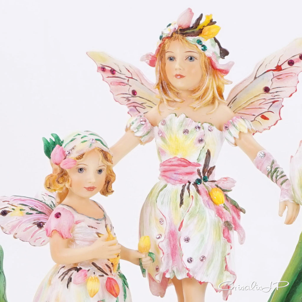 Crisalis Collection ★ Tulip Time Faeries (1-346) Premium