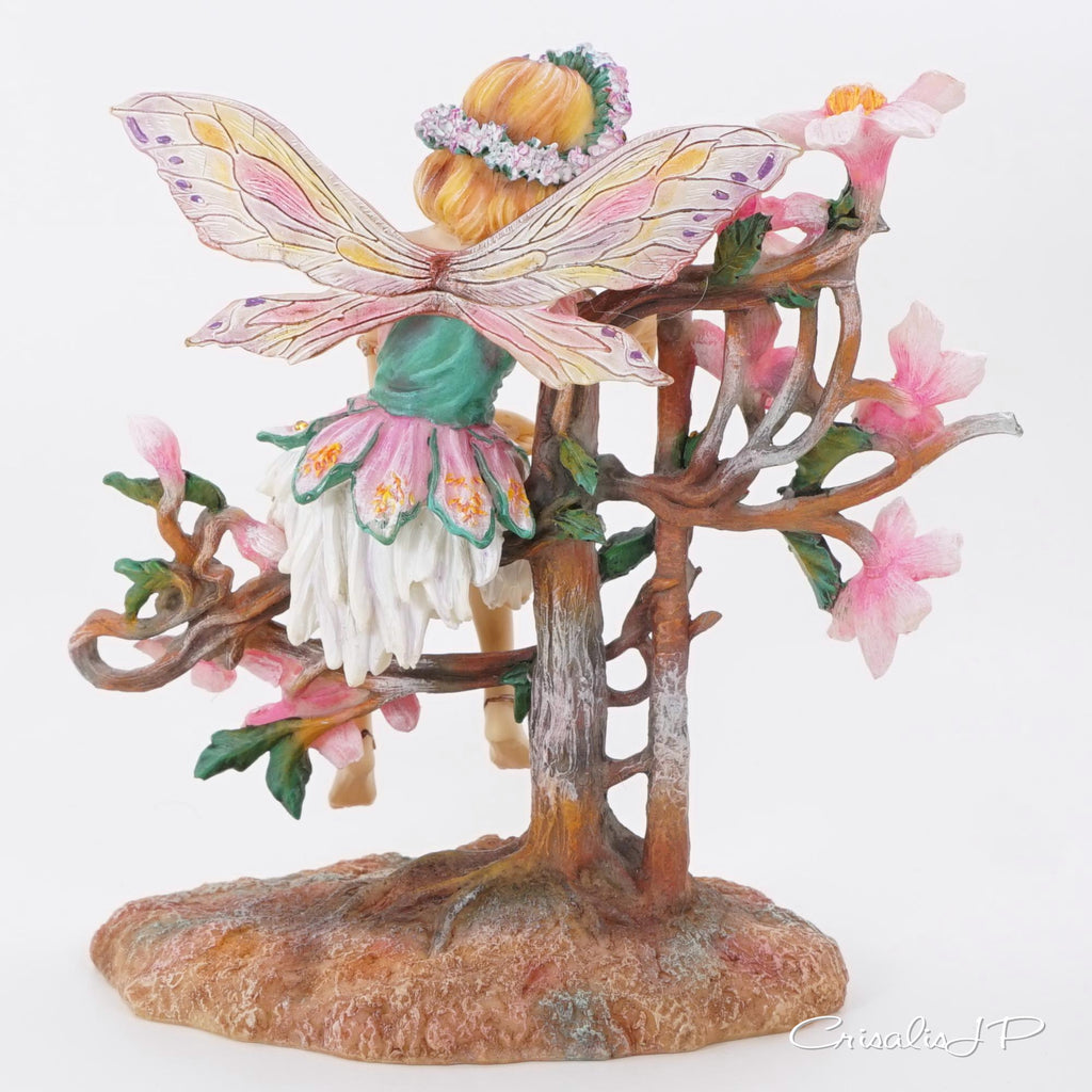 Crisalis Collection★ A Summer Reverie (1-380) Standard