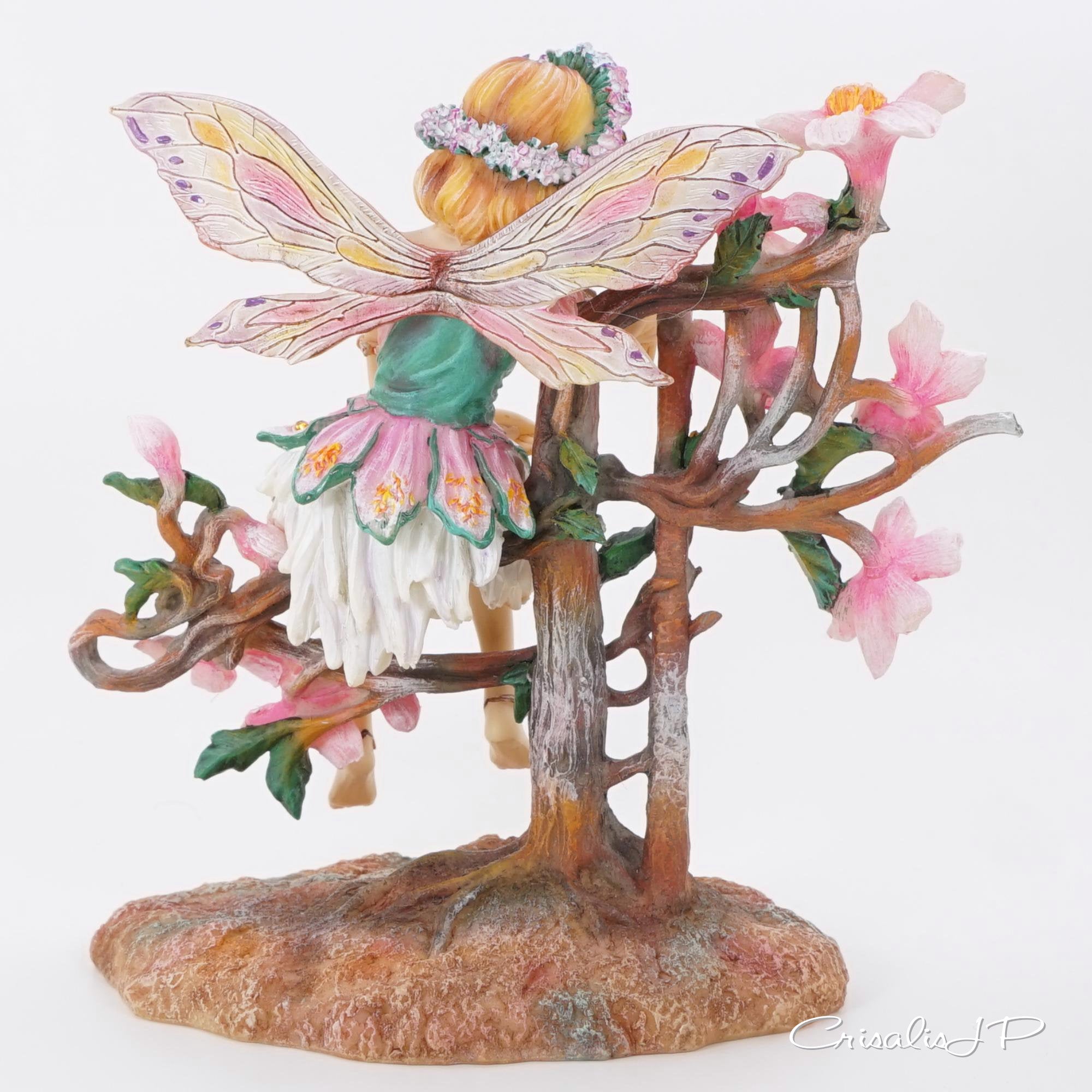 Crisalis Collection★ A Summer Reverie (1-380) Standard