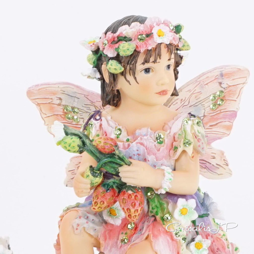 Crisalis Collection ★★ Strawberry Patchi Fairy (1-389) Standard