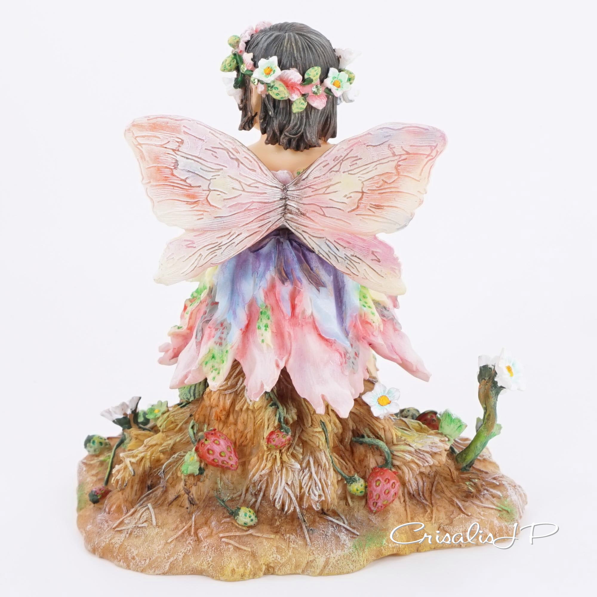 Crisalis Collection ★★ Strawberry Patchi Fairy (1-453) Standard