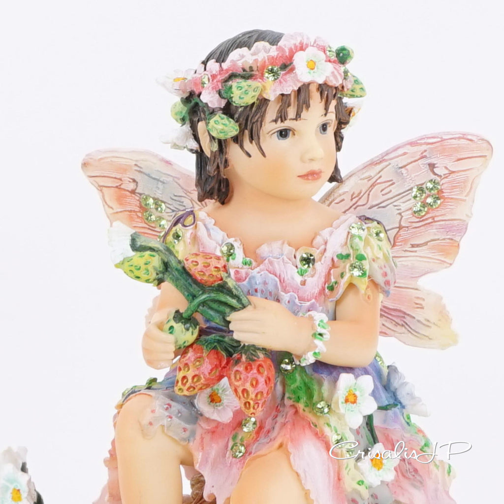 Crisalis Collection ★★ Strawberry Patchi Fairy (1-453) Standard