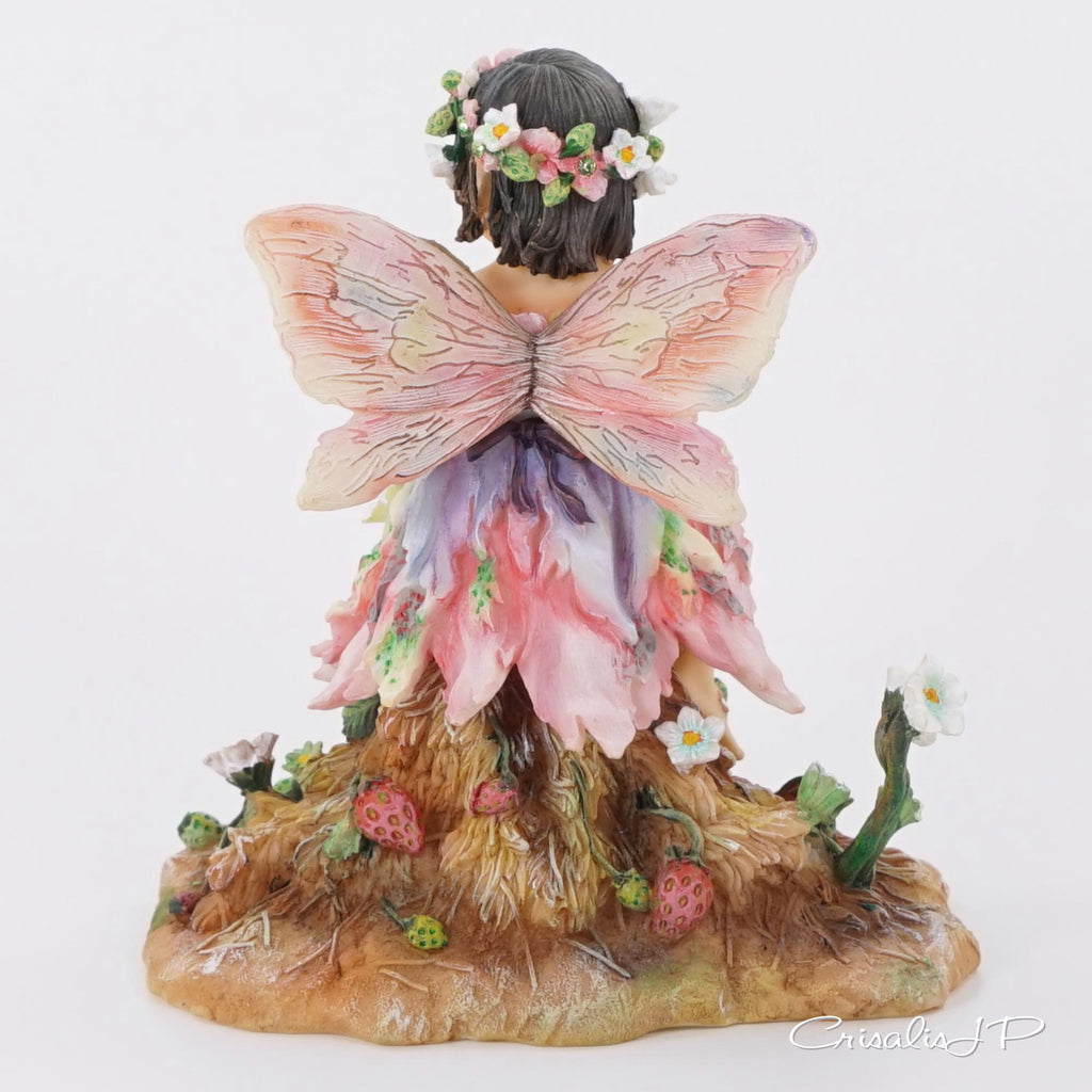 Crisalis Collection ★★ Strawberry Patchi Fairy (1-468)