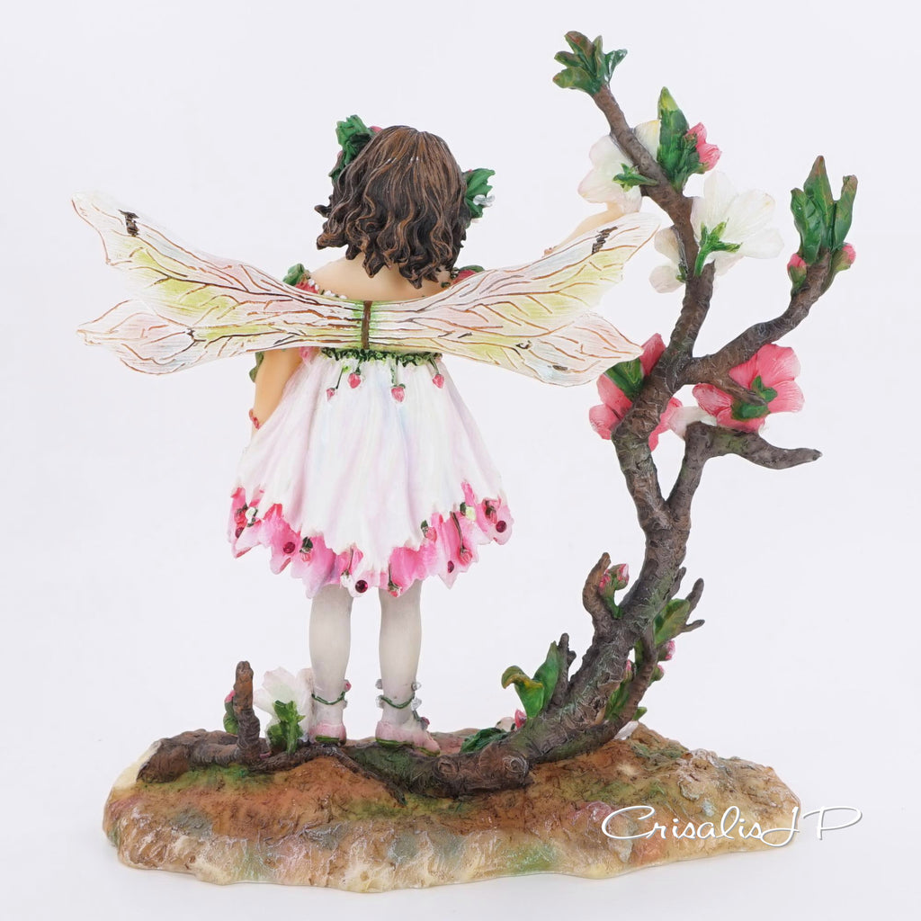 Directly imported from the UK Chrysalis Collection★ Cherry Blossom (1-624) Premium