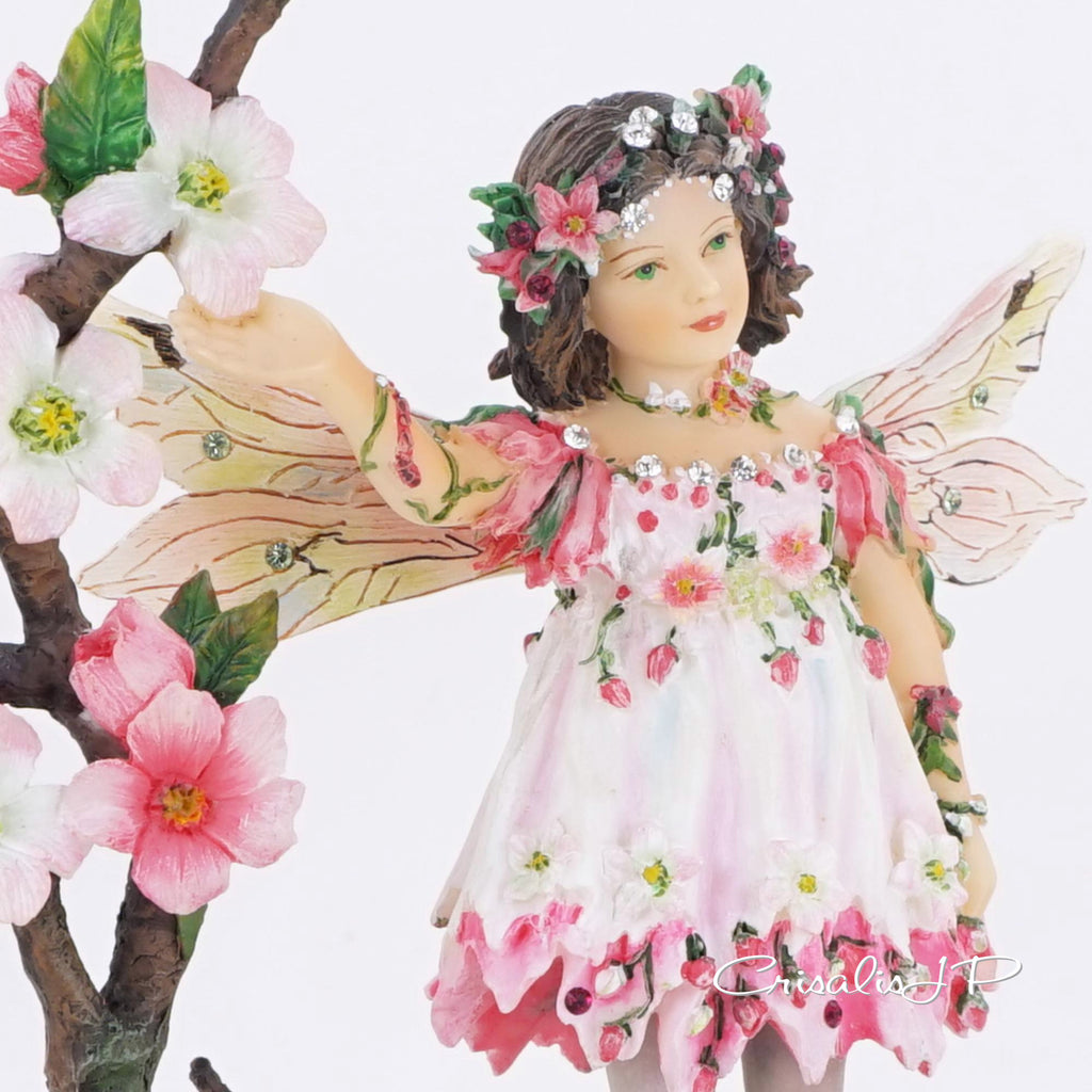 Directly imported from the UK Chrysalis Collection★ Cherry Blossom (1-624) Premium