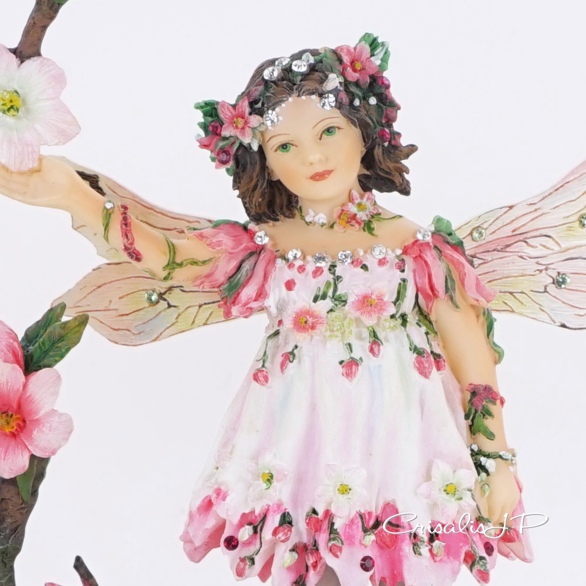 Directly imported from the UK Chrysalis Collection★ Cherry Blossom (1-624) Premium