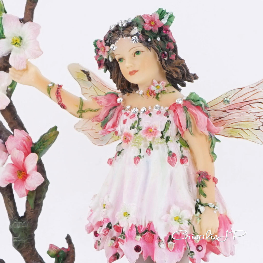 Directly imported from the UK Chrysalis Collection★ Cherry Blossom (1-624) Premium