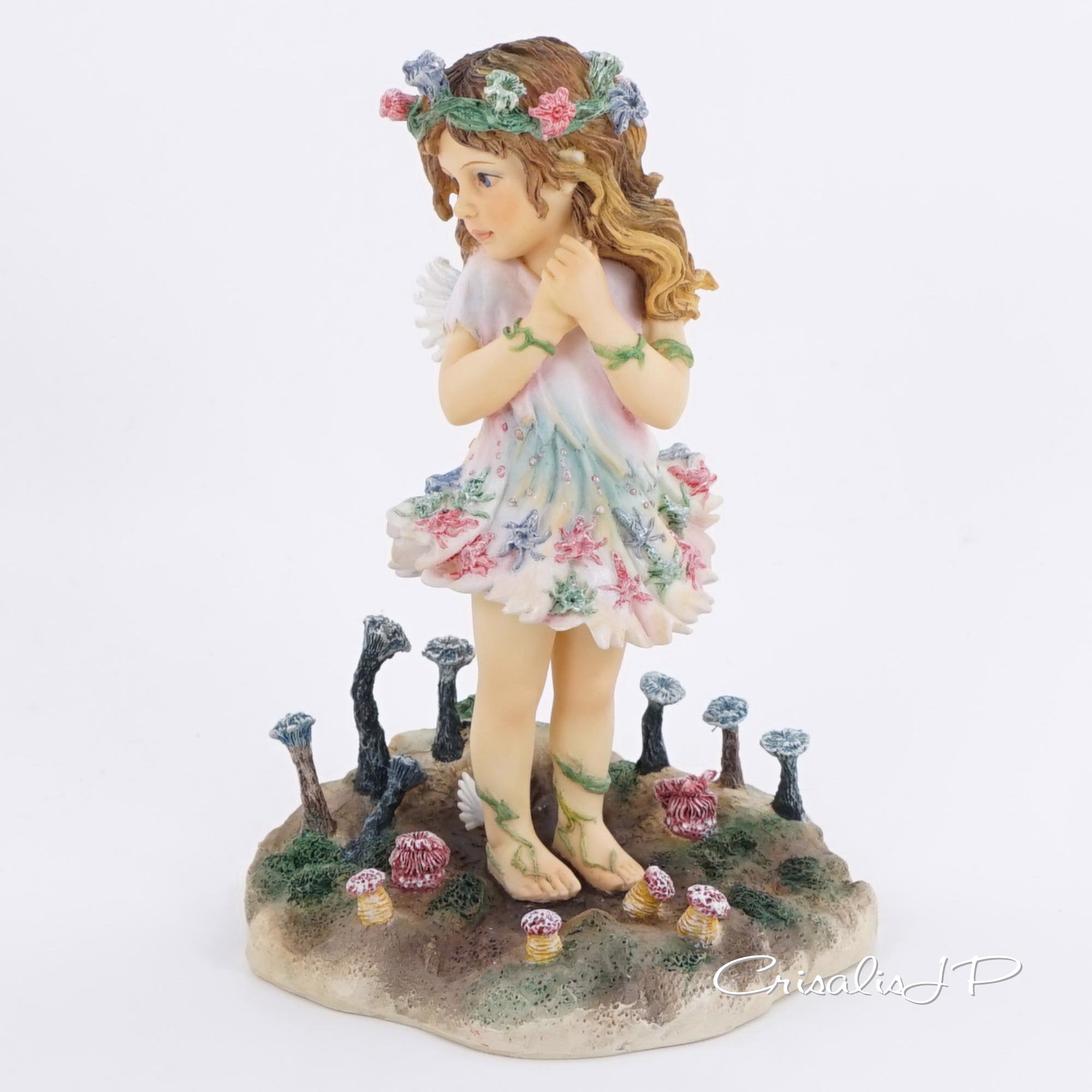 Crisalis Collection★ Among the Sea ​​Anemone (2-1896) 10%OFF