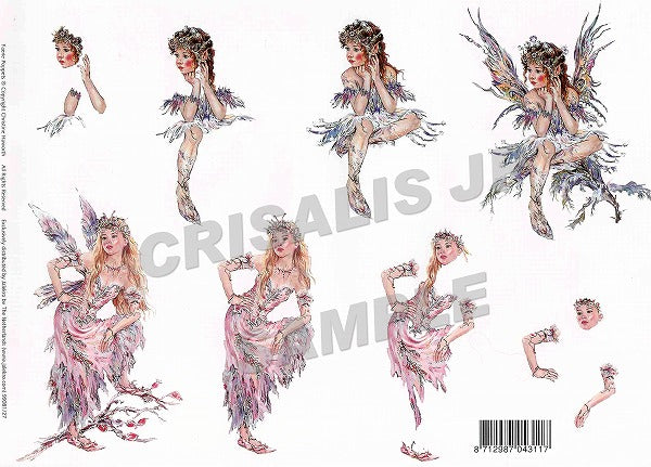 [D9908127] デコパージュ　ミッドナイト・マジック、ライムベリー