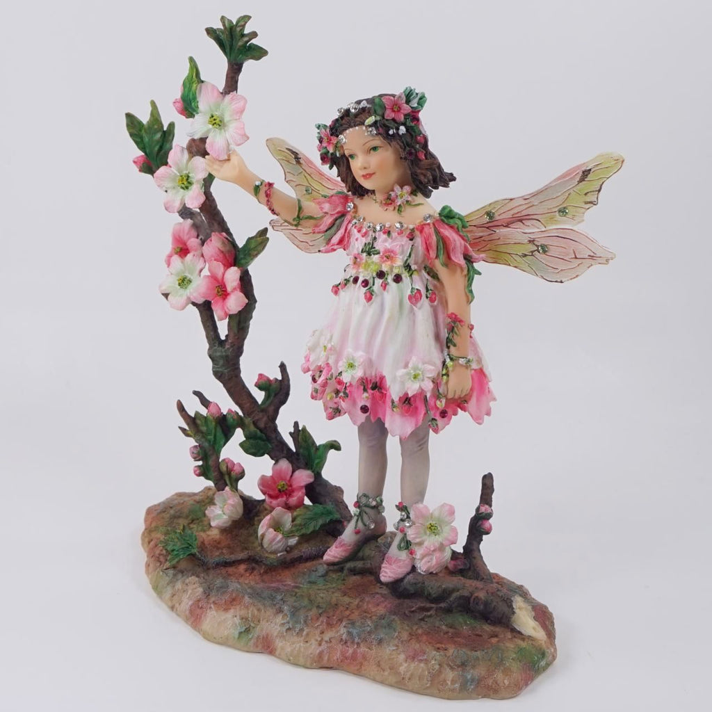 英国直輸入 クリサリスコレクション★ チェリー・ブロッサム(1-185) プレミアム