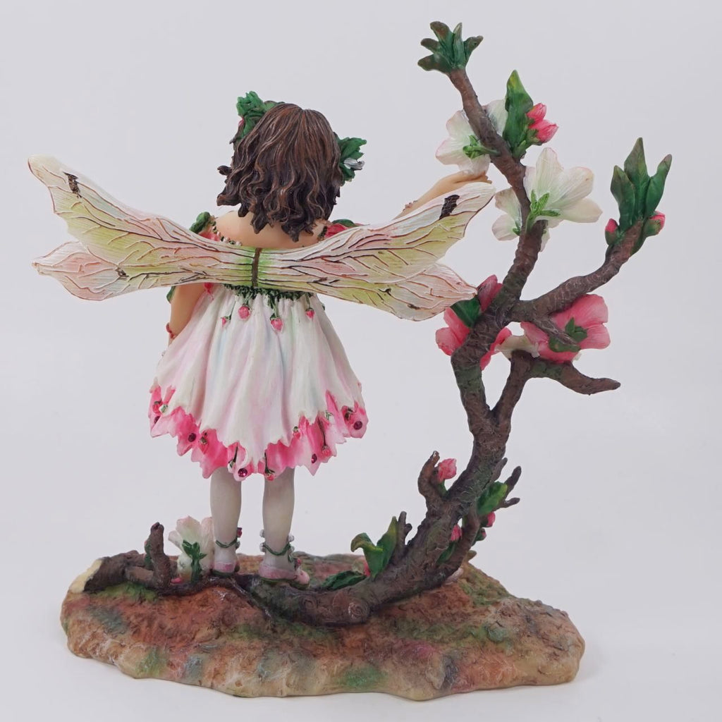 英国直輸入 クリサリスコレクション★ チェリー・ブロッサム(1-185) プレミアム