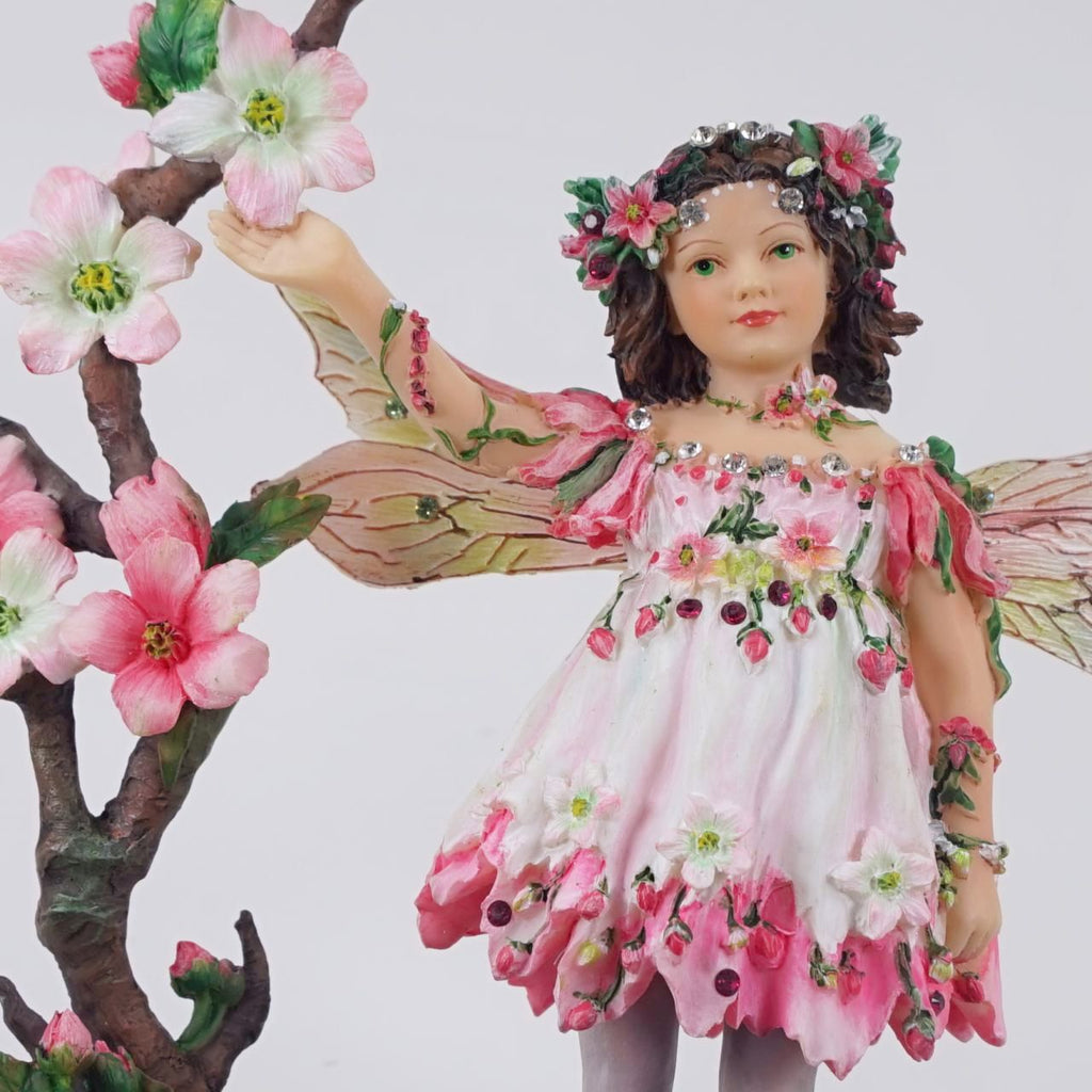 英国直輸入 クリサリスコレクション★ チェリー・ブロッサム(1-185) プレミアム